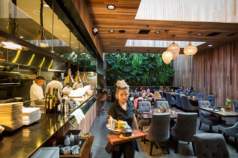 10 Best New Restaurants in San Diego