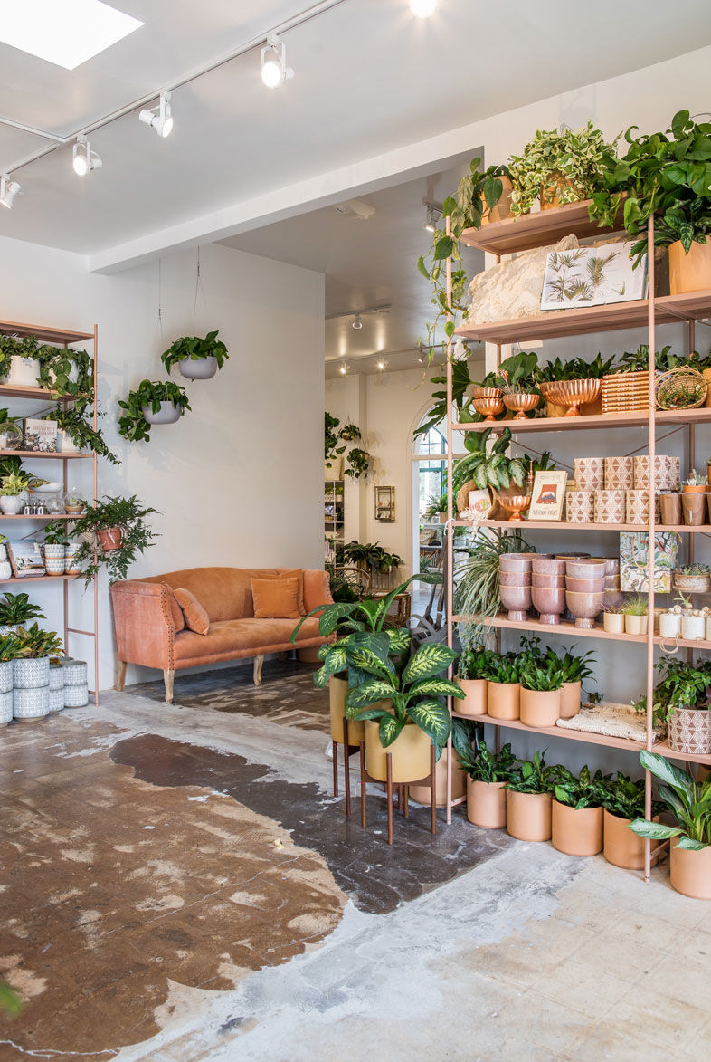 Pigment Moves into Liberty Station