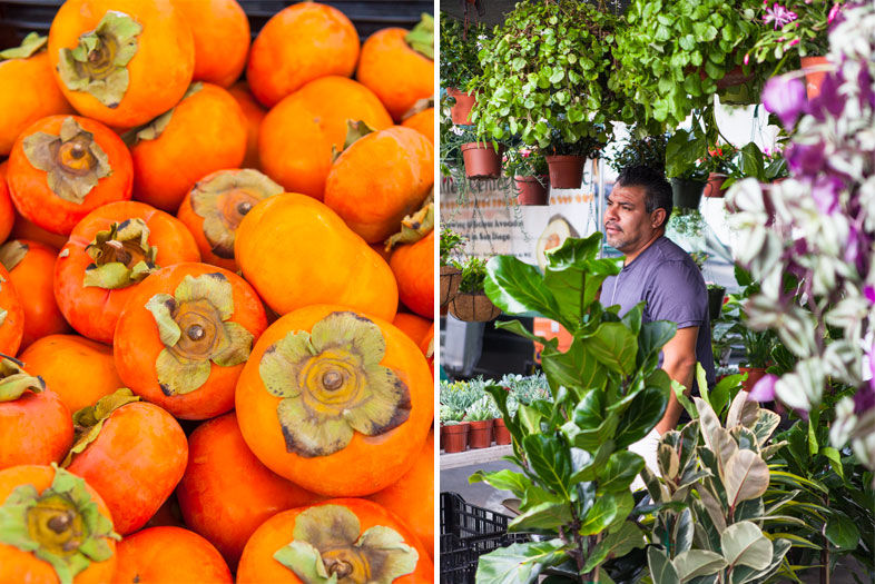 Inside San Diego's Big Farmers' Market Boom