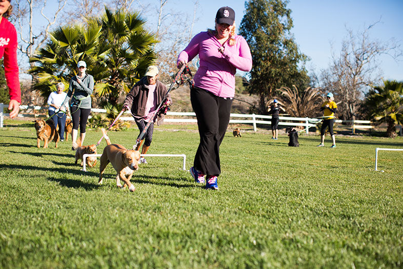 Get Fit & Have Fun in San Diego