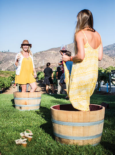 San Diego Wineries That Offer More Than Just Wine