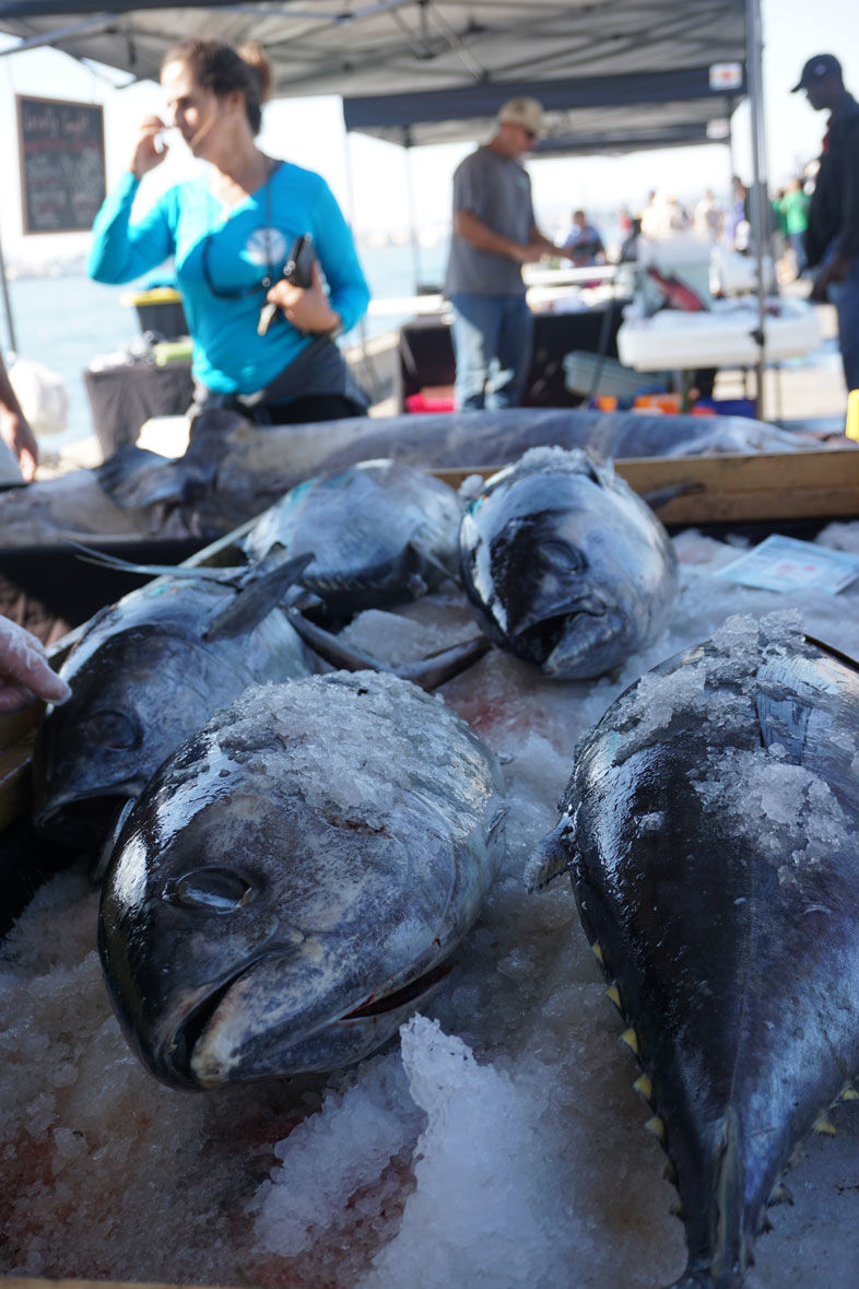 A day at Tuna Dockside Harbor Market