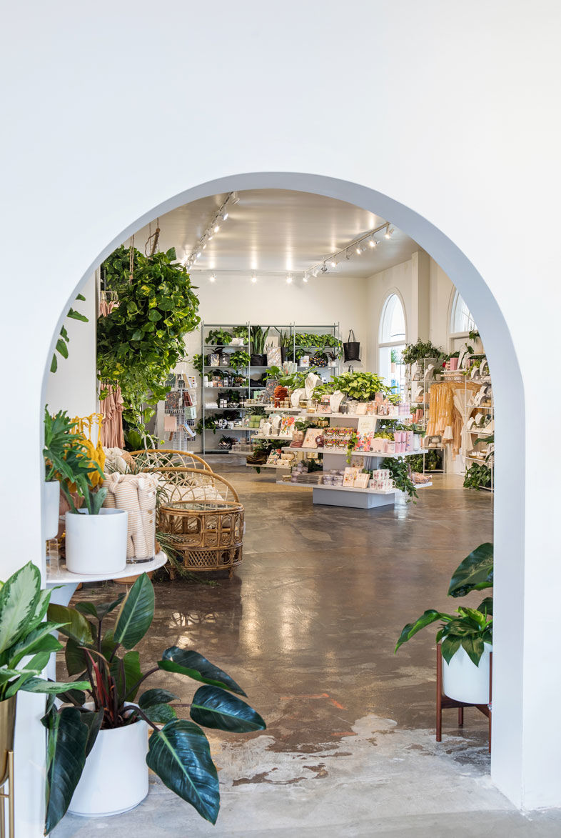Pigment Moves into Liberty Station