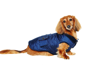 Our Best Gift Guide Ever