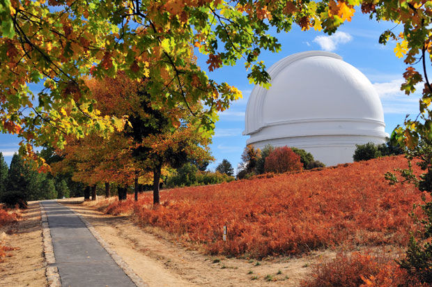 Picture-Perfect Fall Foliage