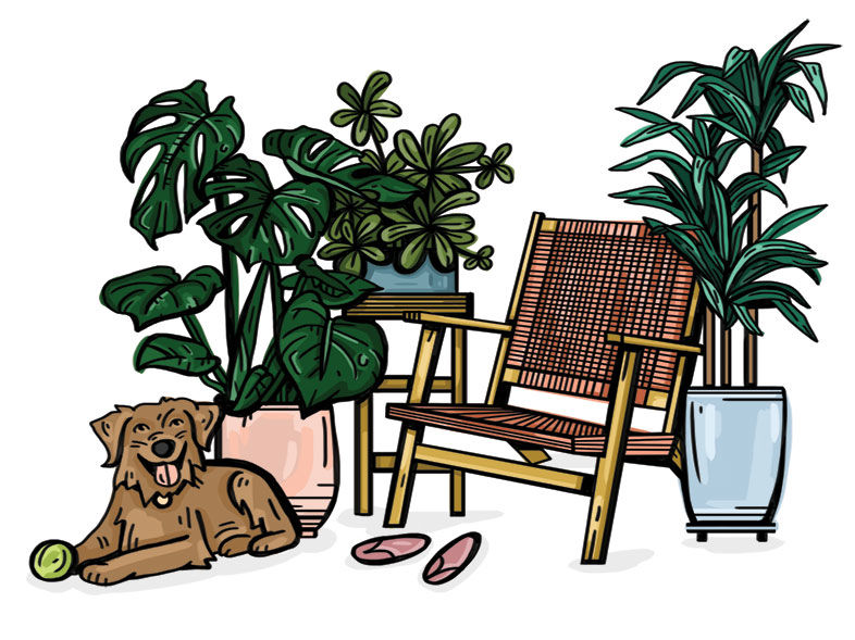 Houseplant Styling 101