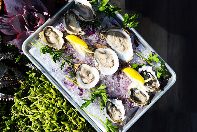 San Diego Neighborhood Guide: Imperial Beach