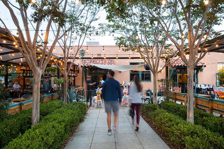 A 'Top Chef' Star Has the Best Mexican Food in the City at El Jardín