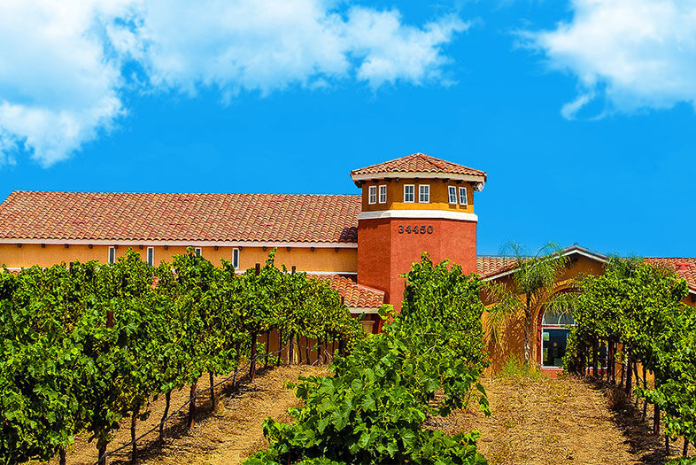 Experience Temecula: Welcome to Wine Country
