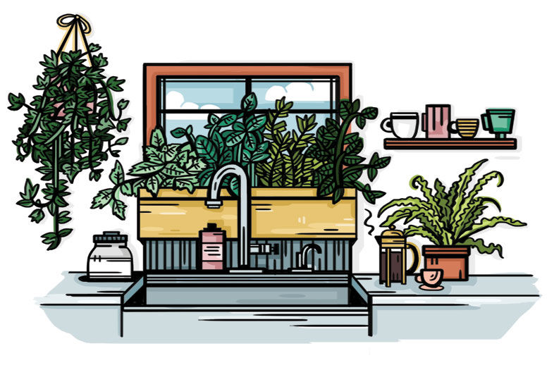 Houseplant Styling 101