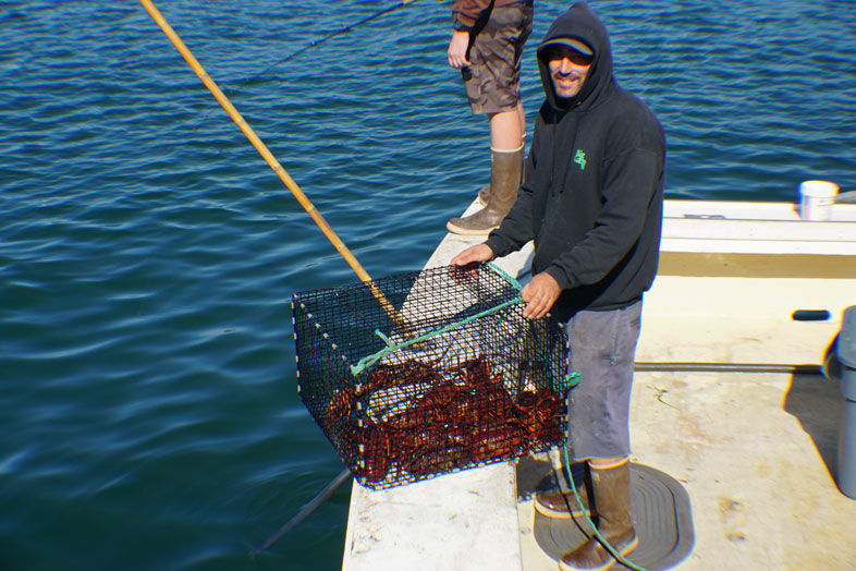 A day at Tuna Dockside Harbor Market