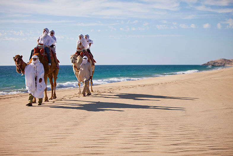 Cabo for Grown-ups