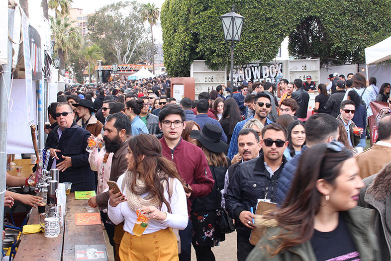 Getting to Know the Ensenada Beer Festival