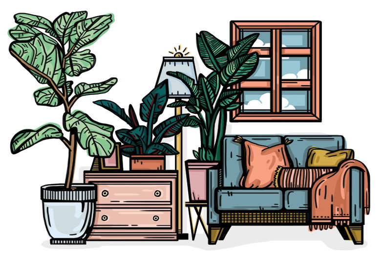 Houseplant Styling 101