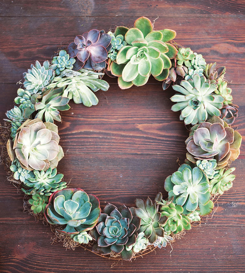 3 Ways to Style Your Succulents for the Holidays