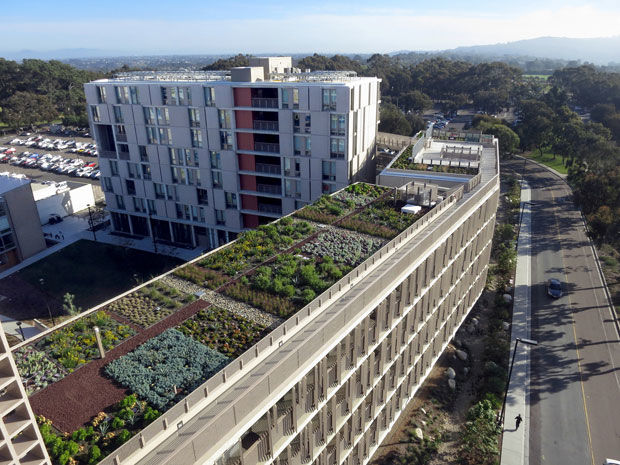 Better Dorms and Gardens