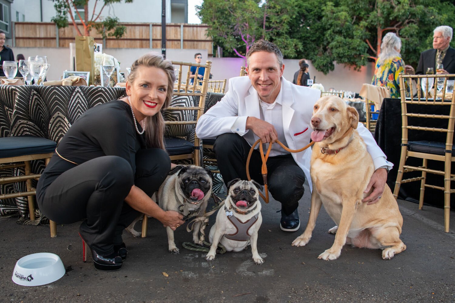 Maeve Schulz and Andrew Hertel with their dogs Morrigan, Oscar Wilde and Sligo (Left to right).jpg