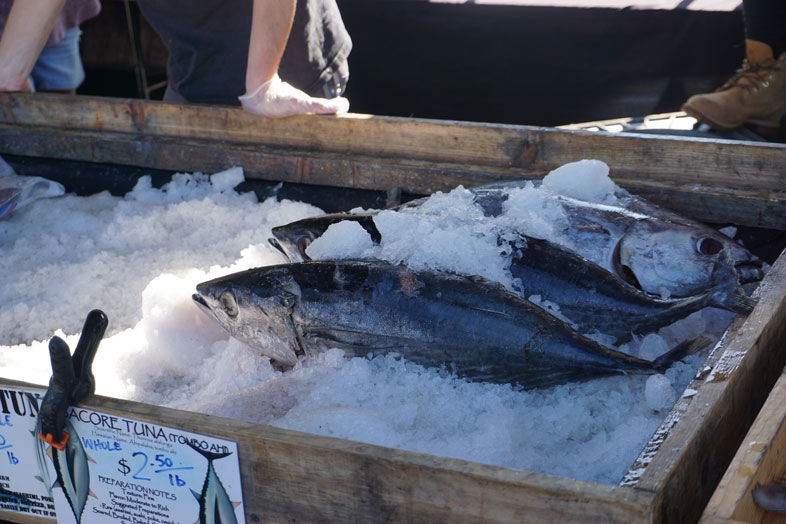 A day at Tuna Dockside Harbor Market