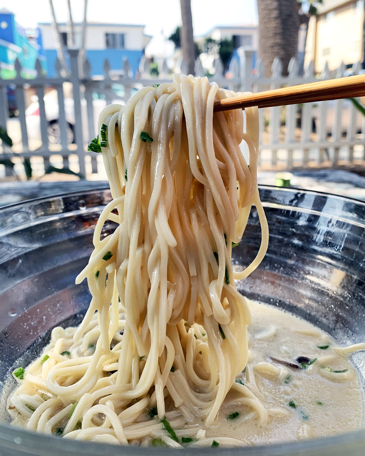 Ramen / Yakyudori Ramen and Yakitori