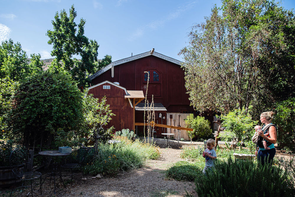 El Cajon - Summers Past Farms