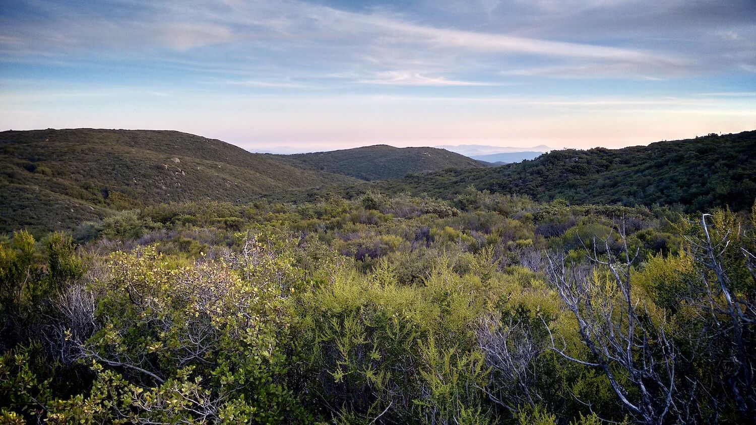 Lake Morena PCT