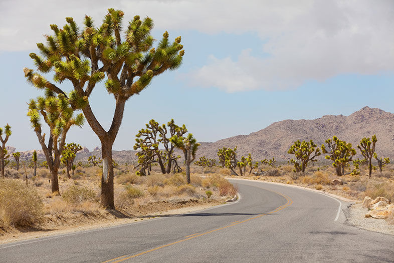 21 Ultimate Road Trip Itineraries from San Diego