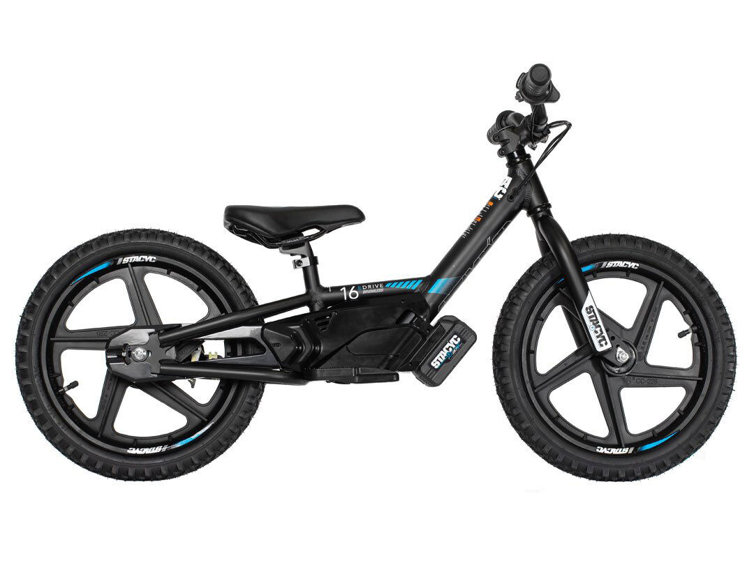 Gift Guide Homebodies / The Machados Electric Bike