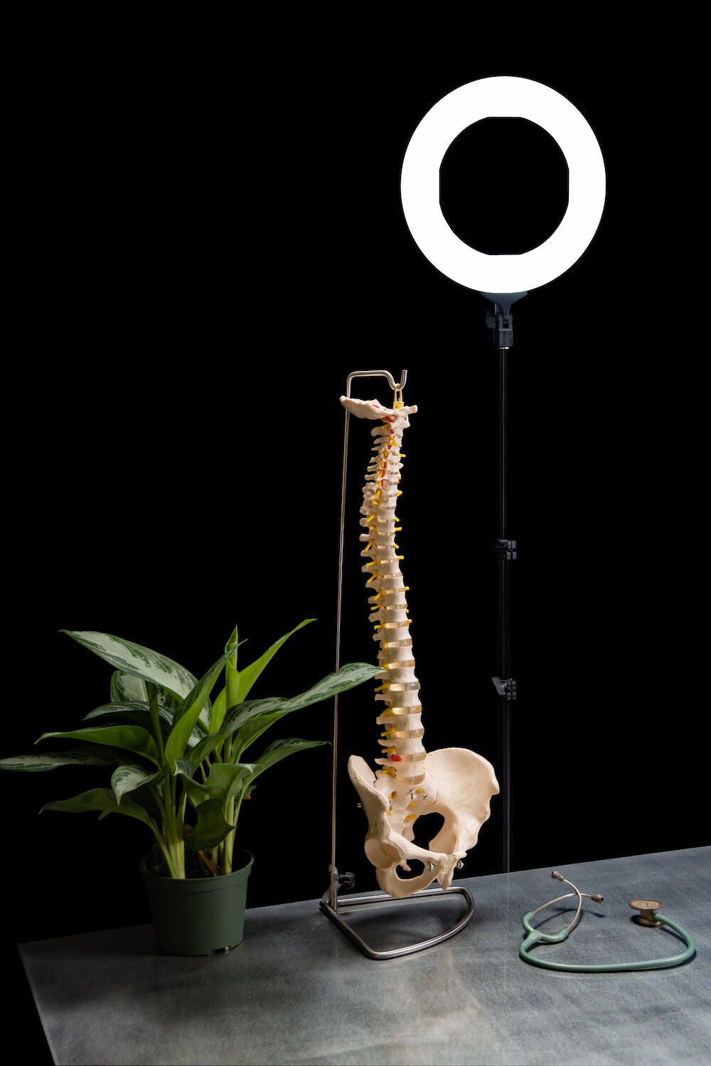 Influencer Doctors-Spine