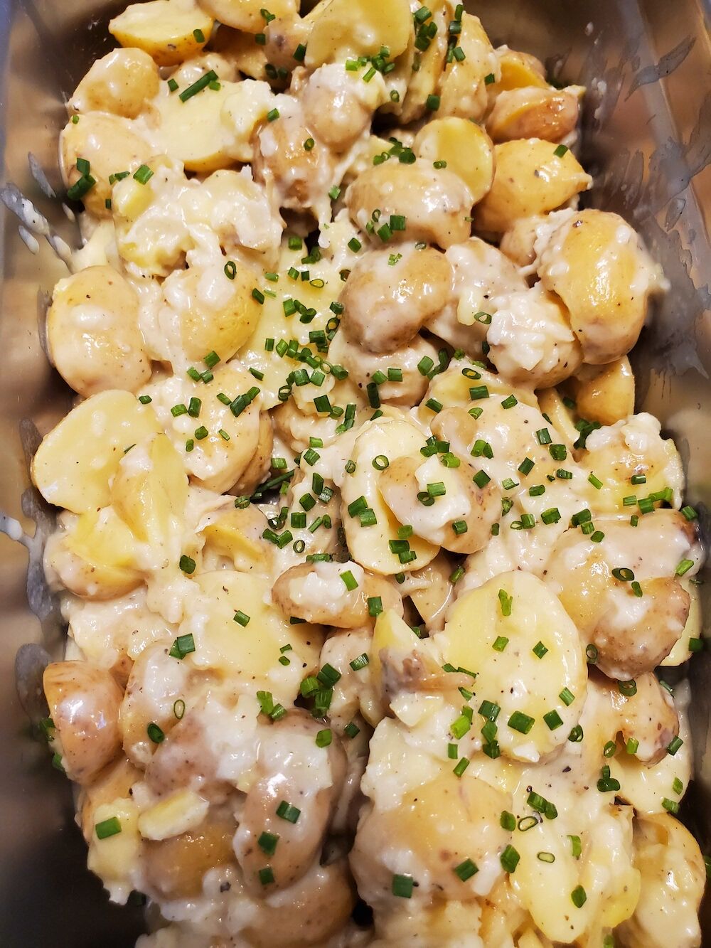 Rady Shell - Potato Salad