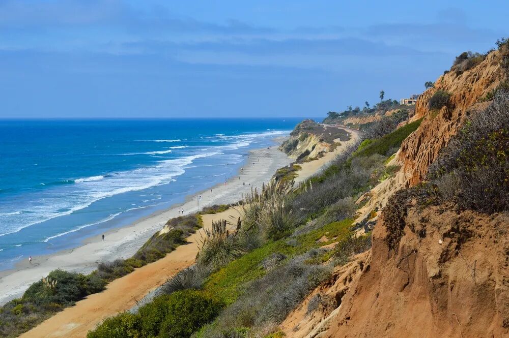 torrey pines