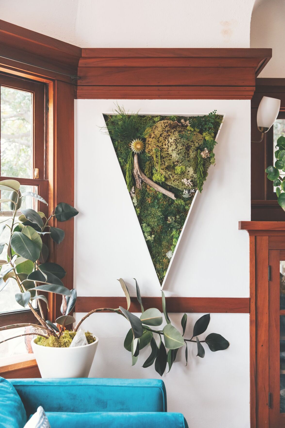 leafing home, plant triangle