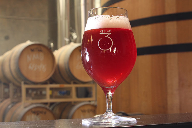 Sour Beers: Is Your Palate Ready?