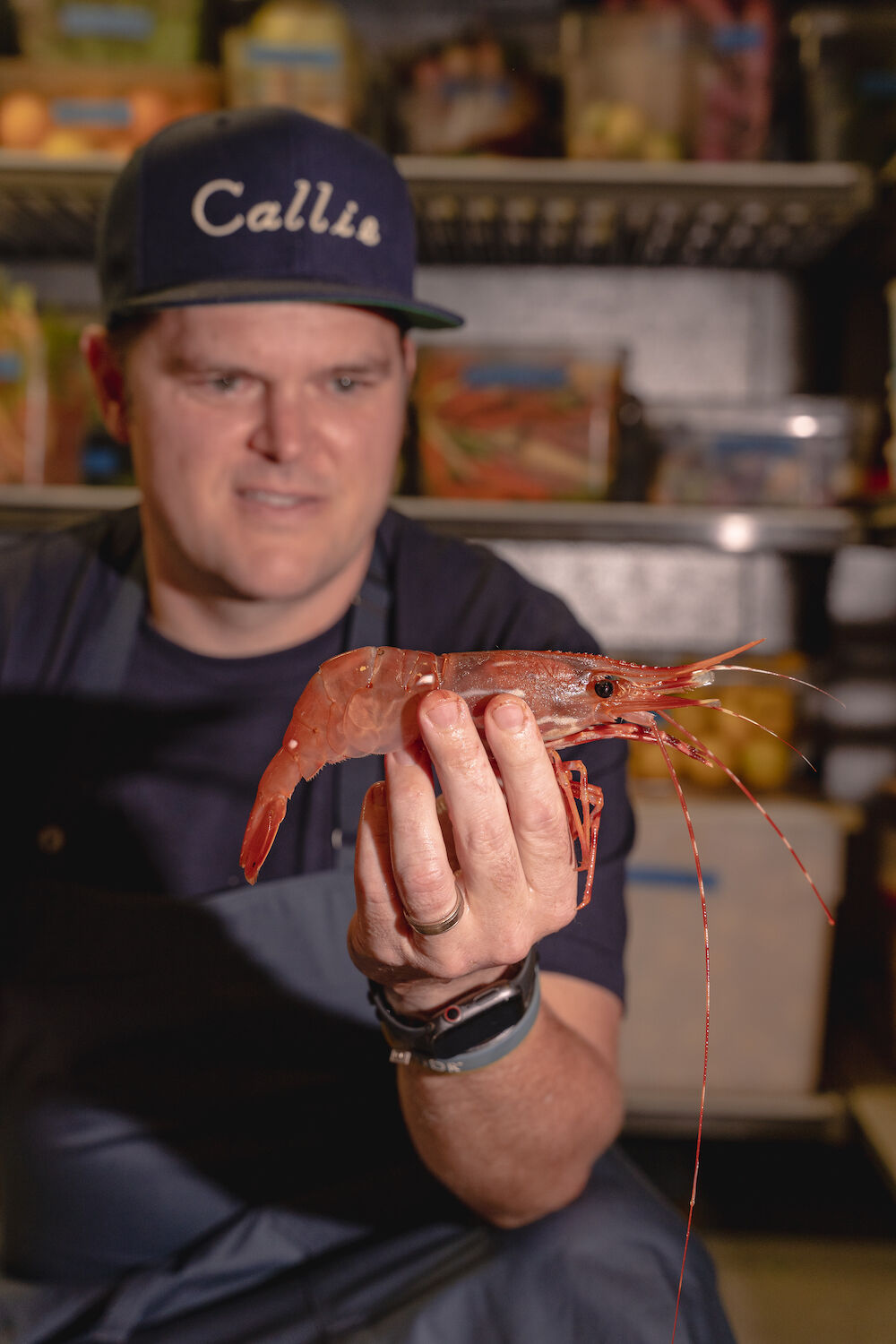 Callie - spot prawns