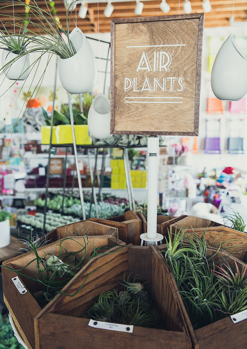 Best of San Diego 2015: Fashion & Design
