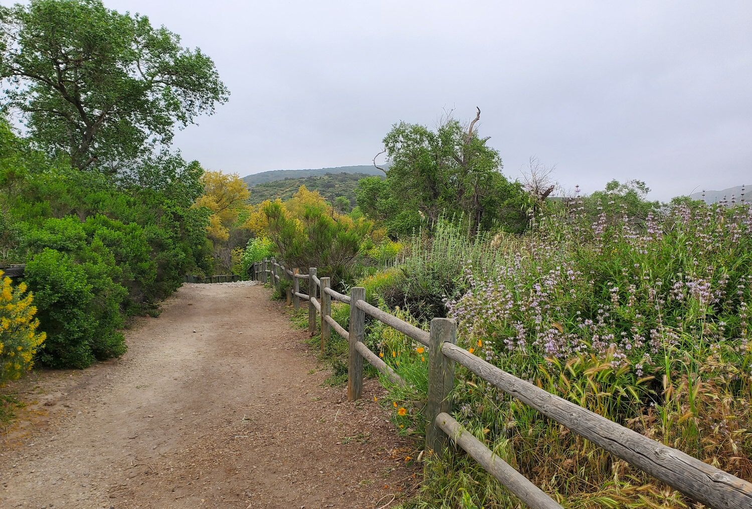 Mission Trails