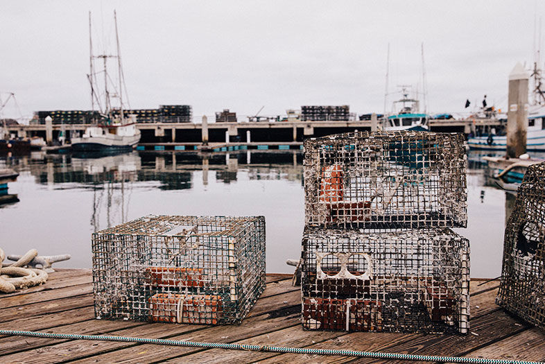 A Deep Dive into the San Diego Fishing Industry