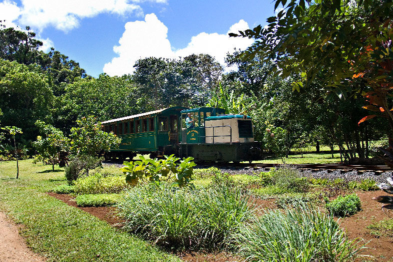 Family Adventures Across Hawai‘i