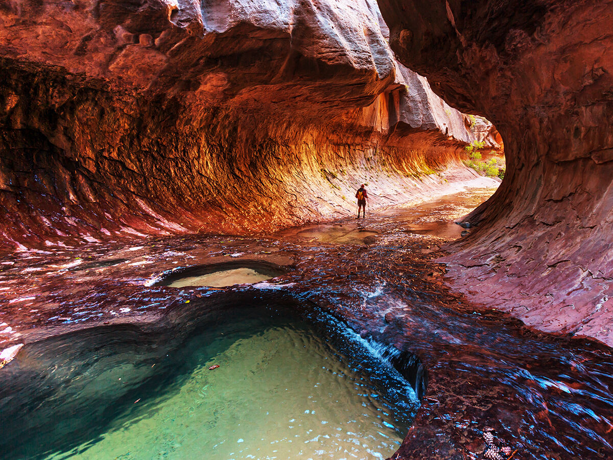 Road Trips / Zion, Utah