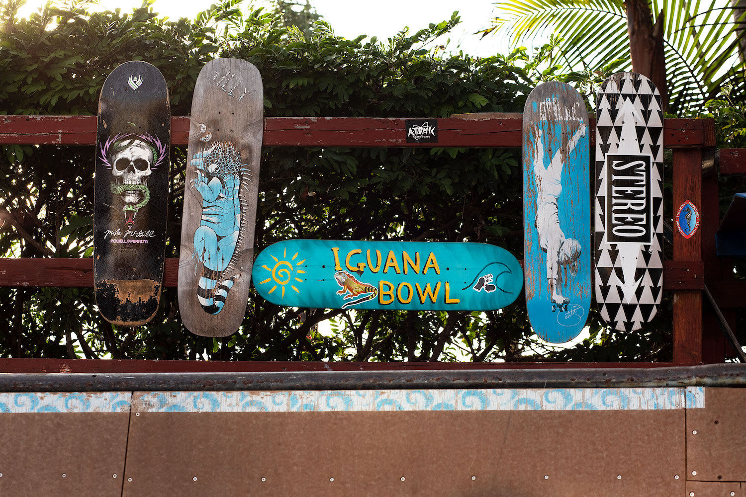 my own private ride, the iguana bowl