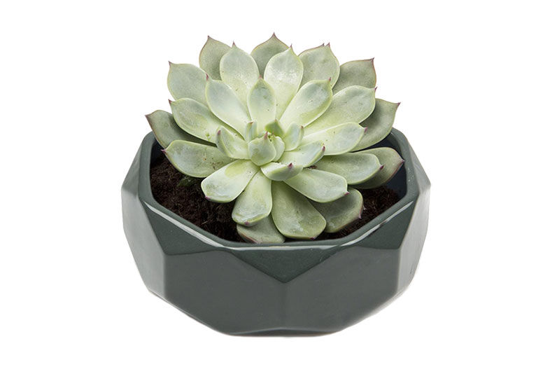 10 Ways to Sleek up Your Home with Gray Accents