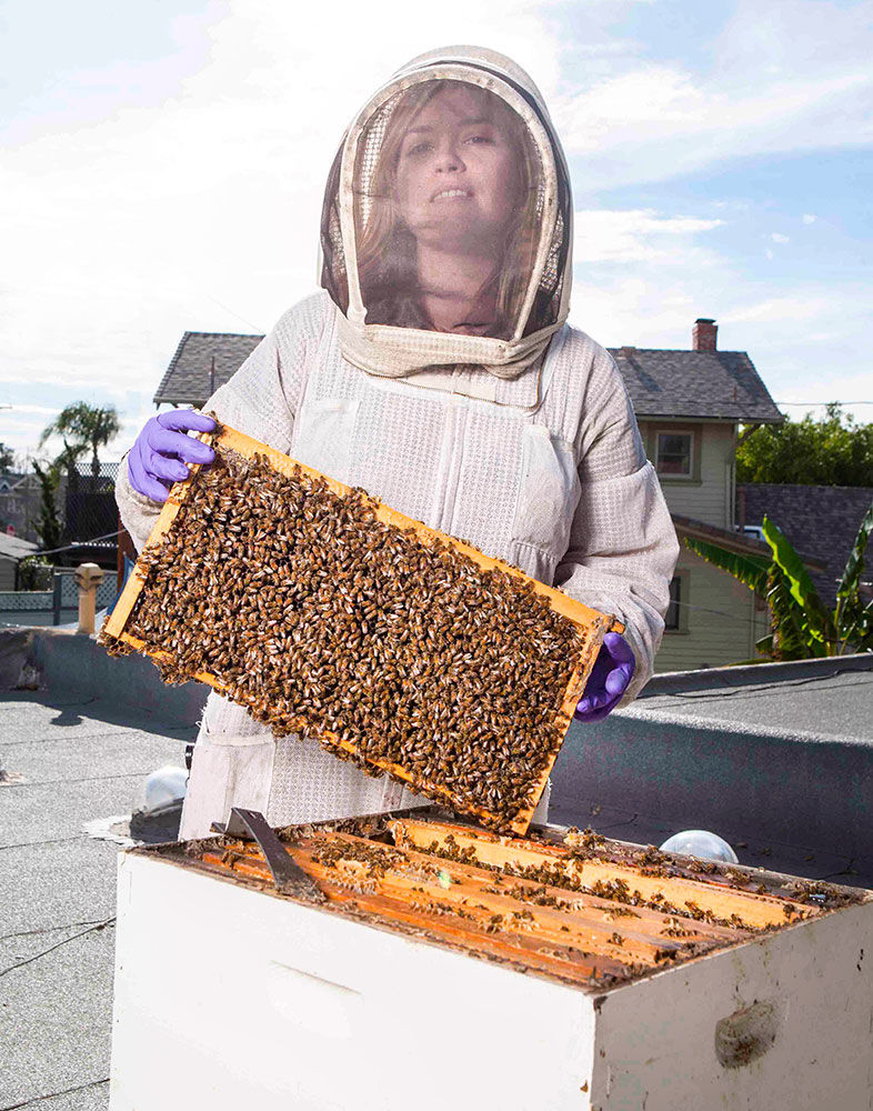 On the Job: Meet Beekeeper Hilary Kearney