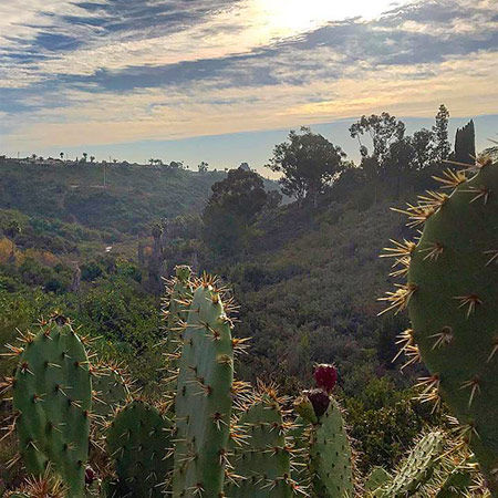 Trail of the Month: Navajo Canyon Open Space