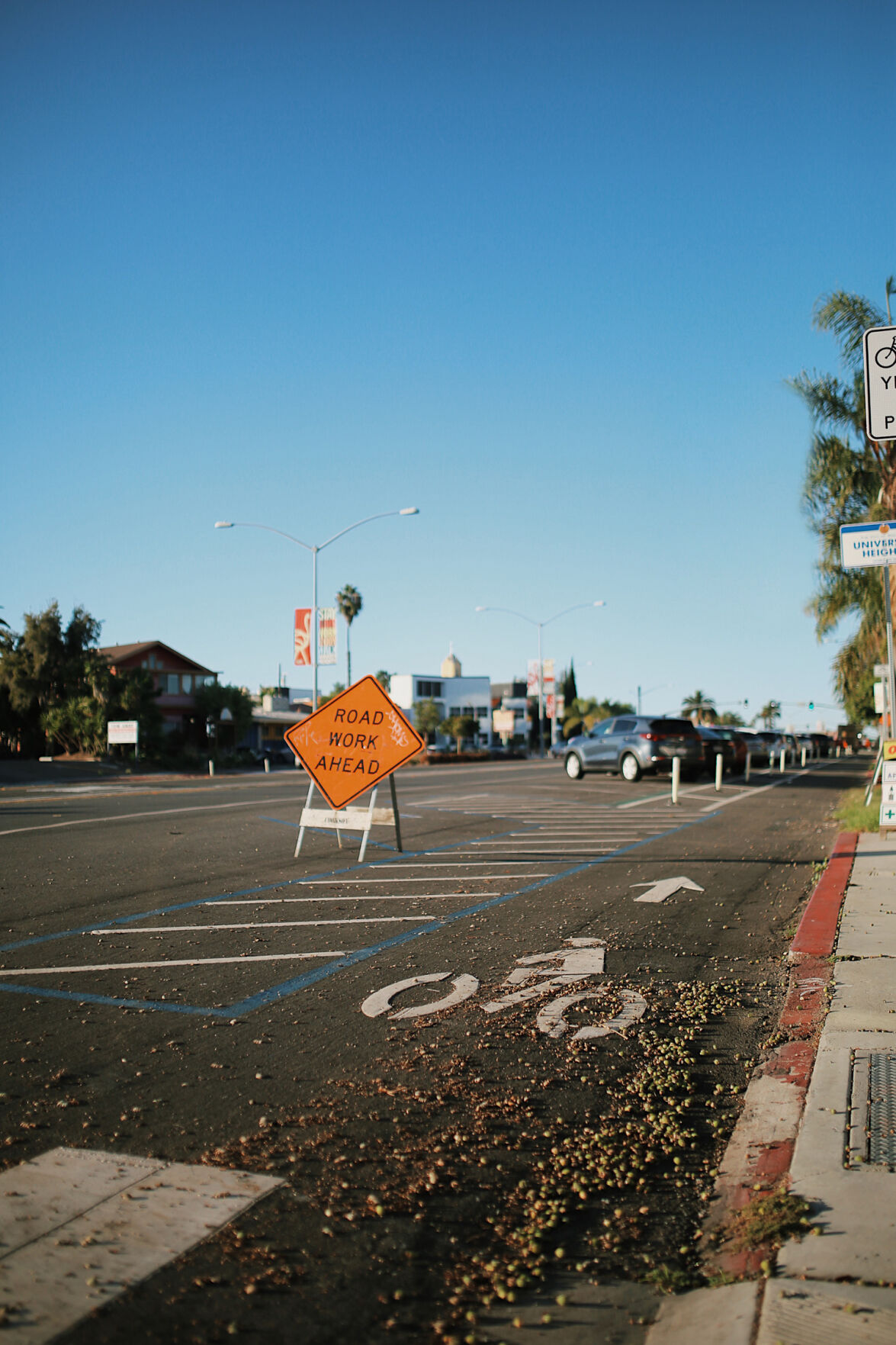 bike lanes, street