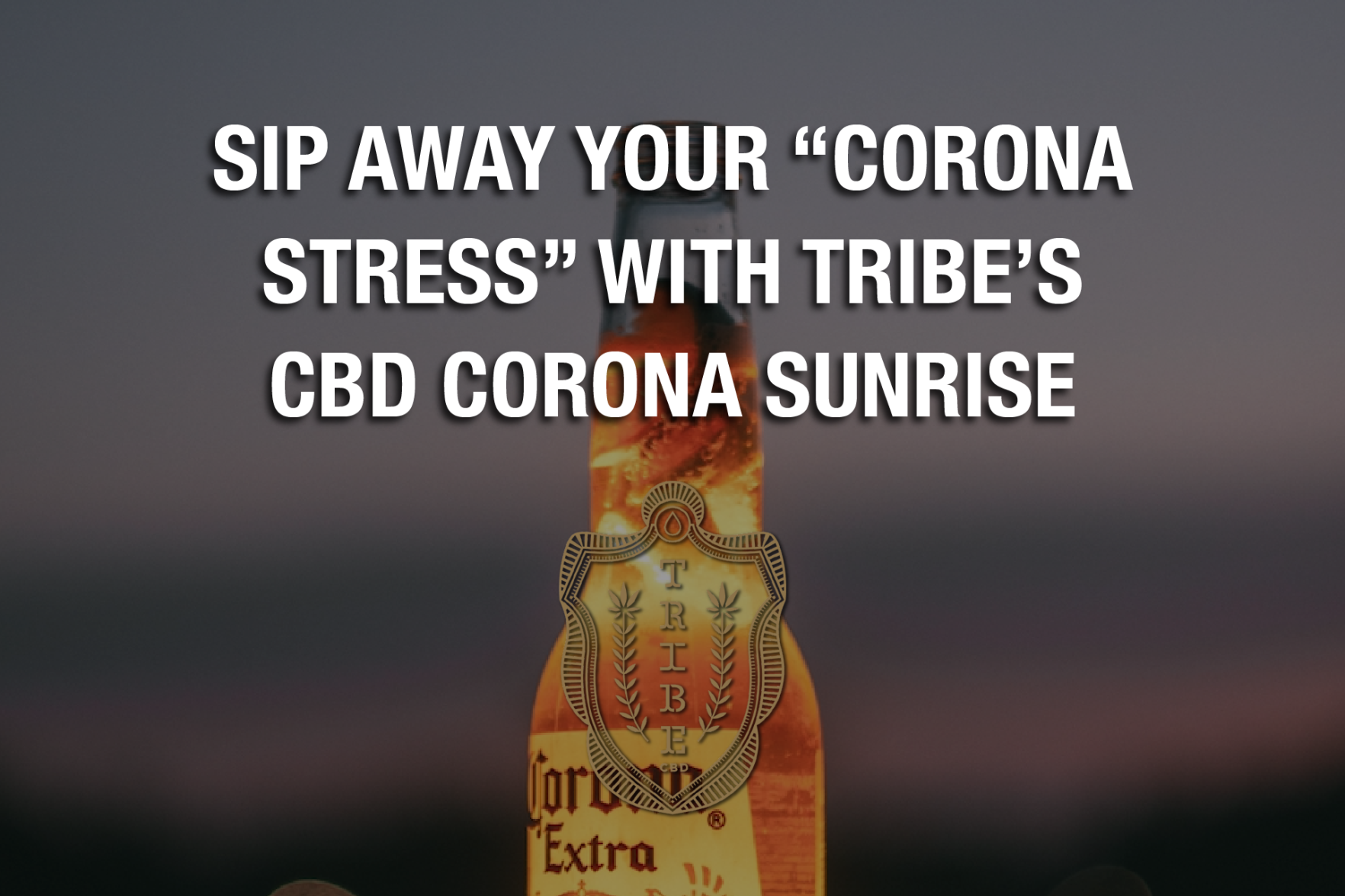 Tribe - Corona