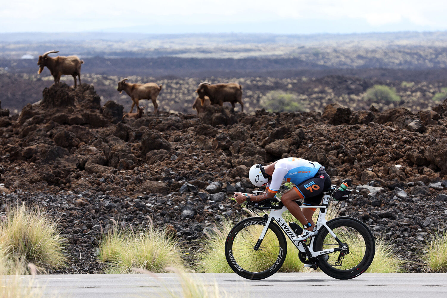 ironman cyclist