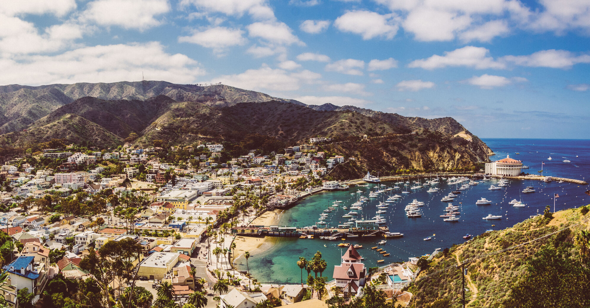 05_01_SW_ADV_600wordBlog_San Diego Magazine_3_USA_CA_Catalina-Island.jpg