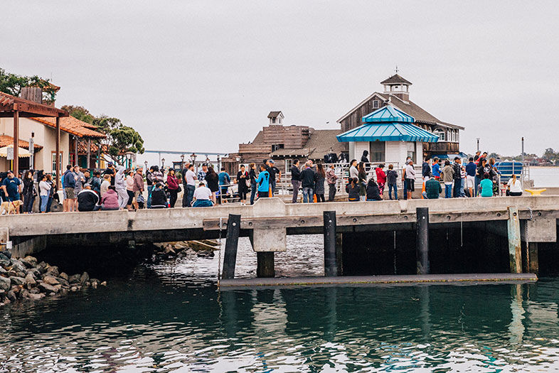 A Deep Dive into the San Diego Fishing Industry