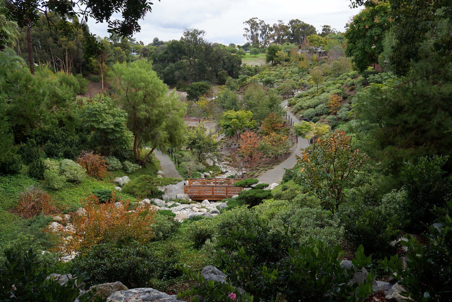 Japanese Friendship Garden.jpeg