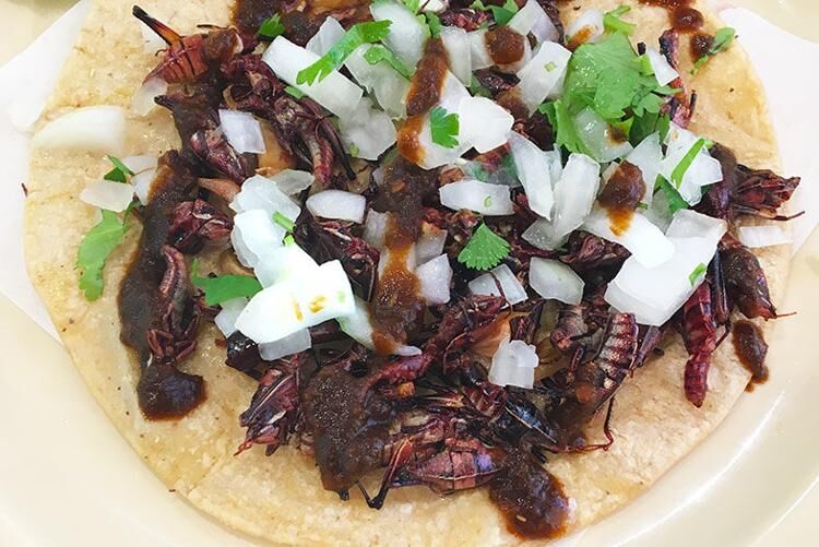 Taco Shops / Aquí Es Texcoco