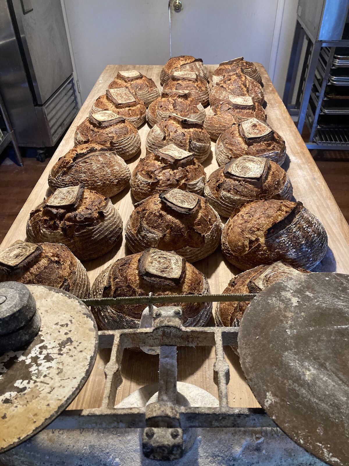 What we're loving - Wildwood Flour